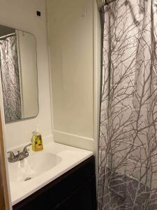 baño con lavabo y cortina de ducha en Treetops in Town, en Charleston