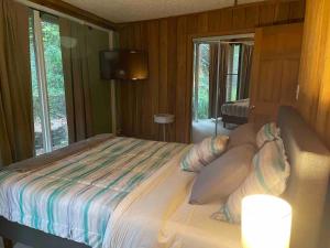 um quarto com uma cama com almofadas e uma televisão em Treetops in Town em Charleston