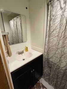 a bathroom with a sink and a shower curtain at Treetops in Town in Charleston