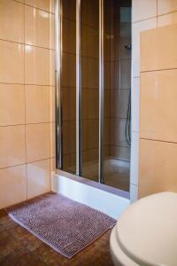 ヴィスワにあるApartamenty Madziaのバスルーム(シャワー、トイレ、ラグ付)