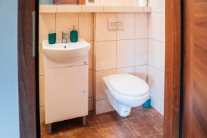 a small bathroom with a sink and a toilet at Apartamenty Madzia in Wisła