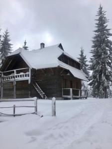Konjska RekaApartman Mendrea的屋顶上有雪的小木屋