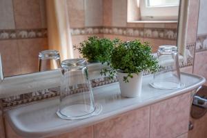 a bathroom sink with two glasses and a potted plant at Richter Pansion in Budapest +25 photos