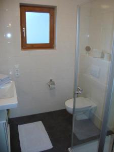 ein Bad mit einer Dusche, einem WC und einem Fenster in der Unterkunft Haus am Bühel in Gaschurn