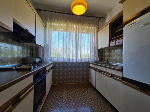 Kuchyňa alebo kuchynka v ubytovaní Apartments Fazanska 930