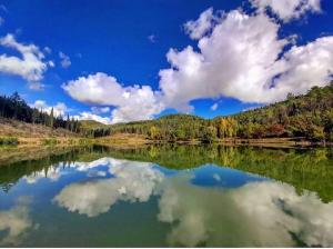 a reflection of clouds in the water of a lake at Agriturismo Vinci in Gaiole in Chianti