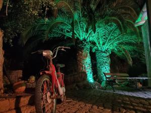 una motocicleta roja estacionada frente a unas palmeras en Il Trulletto, en Impalata