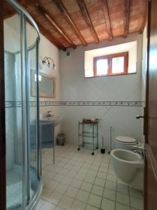 ガイオーレ・イン・キアンティにあるCasanova di Ricavoのバスルーム(シャワー、トイレ、シンク付)