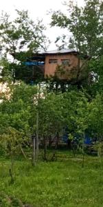 a house on top of trees in a field at Eagle Nest in Martvili