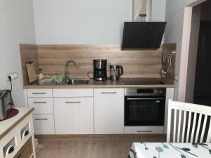 a small kitchen with a sink and a stove at Apartment Am Gondelteich in Bad Elster