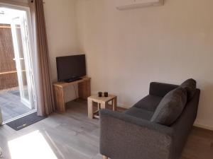 TV a/nebo společenská místnost v ubytování Vakantiechalet Huisje onder de Toren