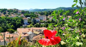 a red flower in front of a city at Studio cosy Yssac-la-Tourette in Yssac-la-Tourette