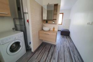 een kleine badkamer met een wasmachine en een wastafel bij Un petit coin de paradis1,proche beauval & châteaux in Meusnes