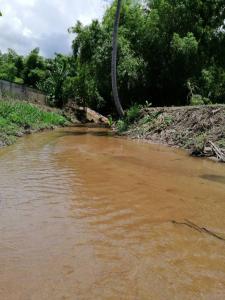 um rio com água castanha e árvores ao fundo em บ้านย่า ณ ท่าไทร em Si Racha