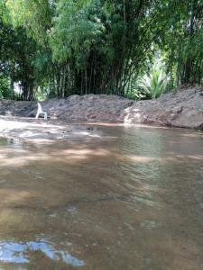 una masa de agua con árboles en el fondo en บ้านย่า ณ ท่าไทร, en Si Racha