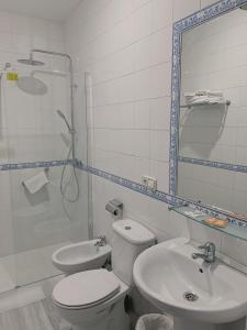 uma casa de banho com um WC, um lavatório e um chuveiro em Hotel Doña Blanca em Sevilha