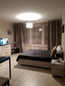 TV a/nebo společenská místnost v ubytování Vena apartment