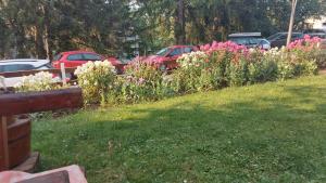 Gallery image of Guest House Milena in Žabljak