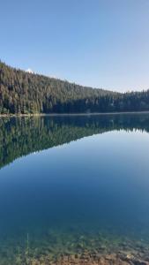 Gallery image of Guest House Milena in Žabljak