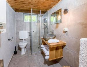 a bathroom with a shower and a toilet and a sink at Talsenalm Wald Habitat in Waidring