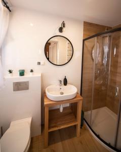 a bathroom with a sink and a shower at Apartamenty Stare Izby in Poronin
