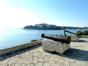 a cannon sitting on a rock next to a body of water at Apartments Estelle in Pula