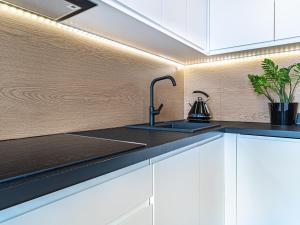 Kuchyňa alebo kuchynka v ubytovaní City View Apartment - Zgoda 13