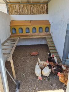 Fotografia z galérie ubytovania Casa Rural LaKika v destinácii Almería