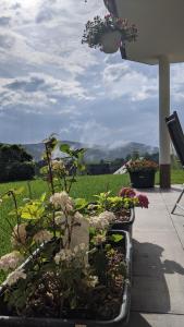 a garden with flowers and plants on a patio at Club Dres in Bockau