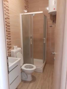 a small bathroom with a toilet and a shower at Lopar Apartment 1 in Lopar