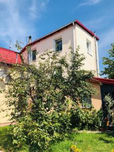 Vonkajšia záhrada v ubytovaní PM1-apartament