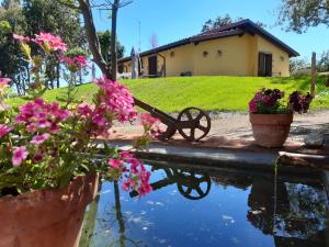 un jardín con una carretilla y flores junto a un estanque en Agriturismo La Sorgente en Fonteblanda