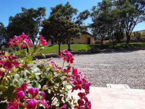 Agriturismo La Sorgente外面的花园