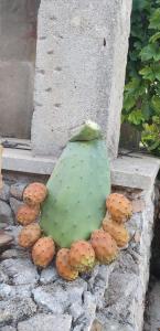 Fotografie z fotogalerie ubytování B&B Ancora del Sud v destinaci Otranto