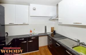 Kuchnia lub aneks kuchenny w obiekcie Ferienwohnung Woody