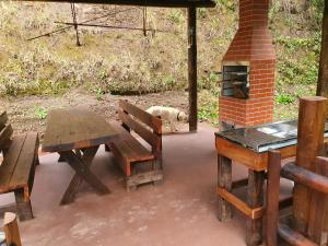 a dog is standing next to a brick oven at Recanto da Serra Chalé 02 in Mauá da Serra