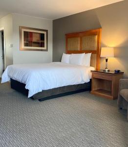 
a hotel room with a bed and a desk at Anavada Inn and Suites Spruceland in Prince George
