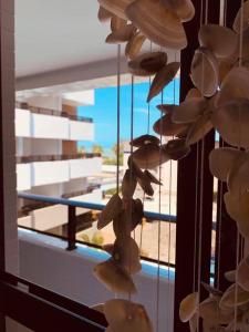 a bunch of hats are hanging in a window at Canto da Sereia in João Pessoa