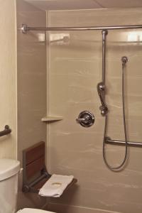 Holiday Inn & Suites Winnipeg Downtown, an IHG Hotel