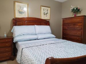 a bedroom with a bed with blue pillows and two dressers at Smart Entire Loft, 3 br, 2 bath, with 3 tv in Columbia