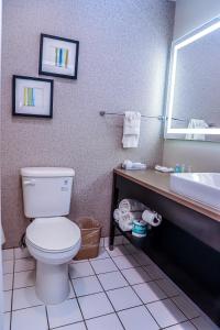 Koupelna v ubytování Quality Inn & Suites Camarillo-Oxnard