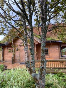 una cabaña de madera con un árbol delante en Kvalsund Lodge, en Futrikelv 14 fotos más