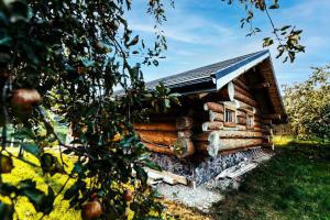 a log cabin with a tin roof at Kottege Riverun in Urych