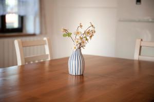 Billede fra billedgalleriet på Chalupa Barborka i Mezimesti