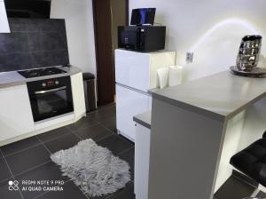 Kuchyň nebo kuchyňský kout v ubytování Apartman MB + 5 fotografií