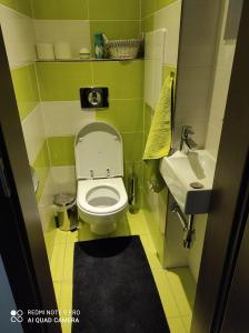 La petite salle de bains est pourvue de toilettes et d'un lavabo. dans l'établissement Apartman MB, à Poprad