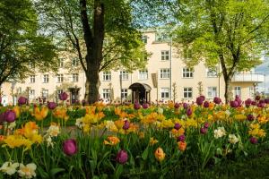 Zahrada ubytování Badhotellet Spa & Konferens