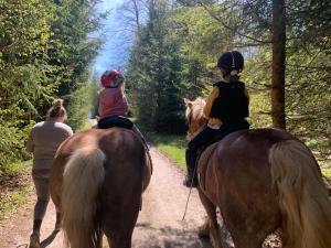 Loomad apartemendi aladel või selle läheduses