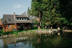 a house with a pond in front of it at Ferienwohnung „Alte Mühle“ in Bad Rodach