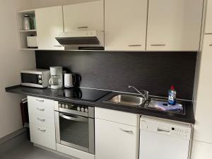 Kuchyň nebo kuchyňský kout v ubytování Apartment Oesterling